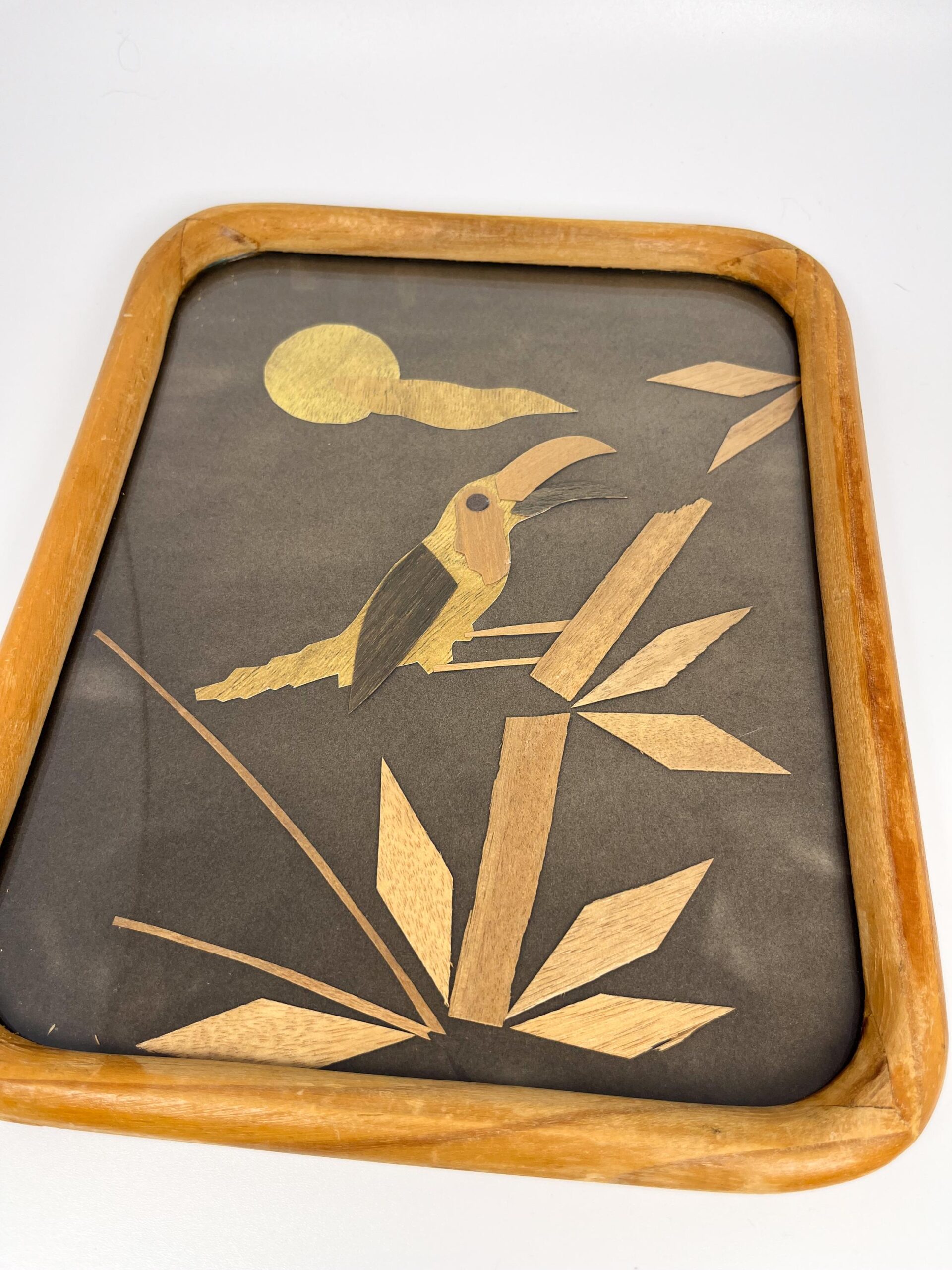 Vintage framed shaved wood art from Mexico - Handcrafted folk art with parrot