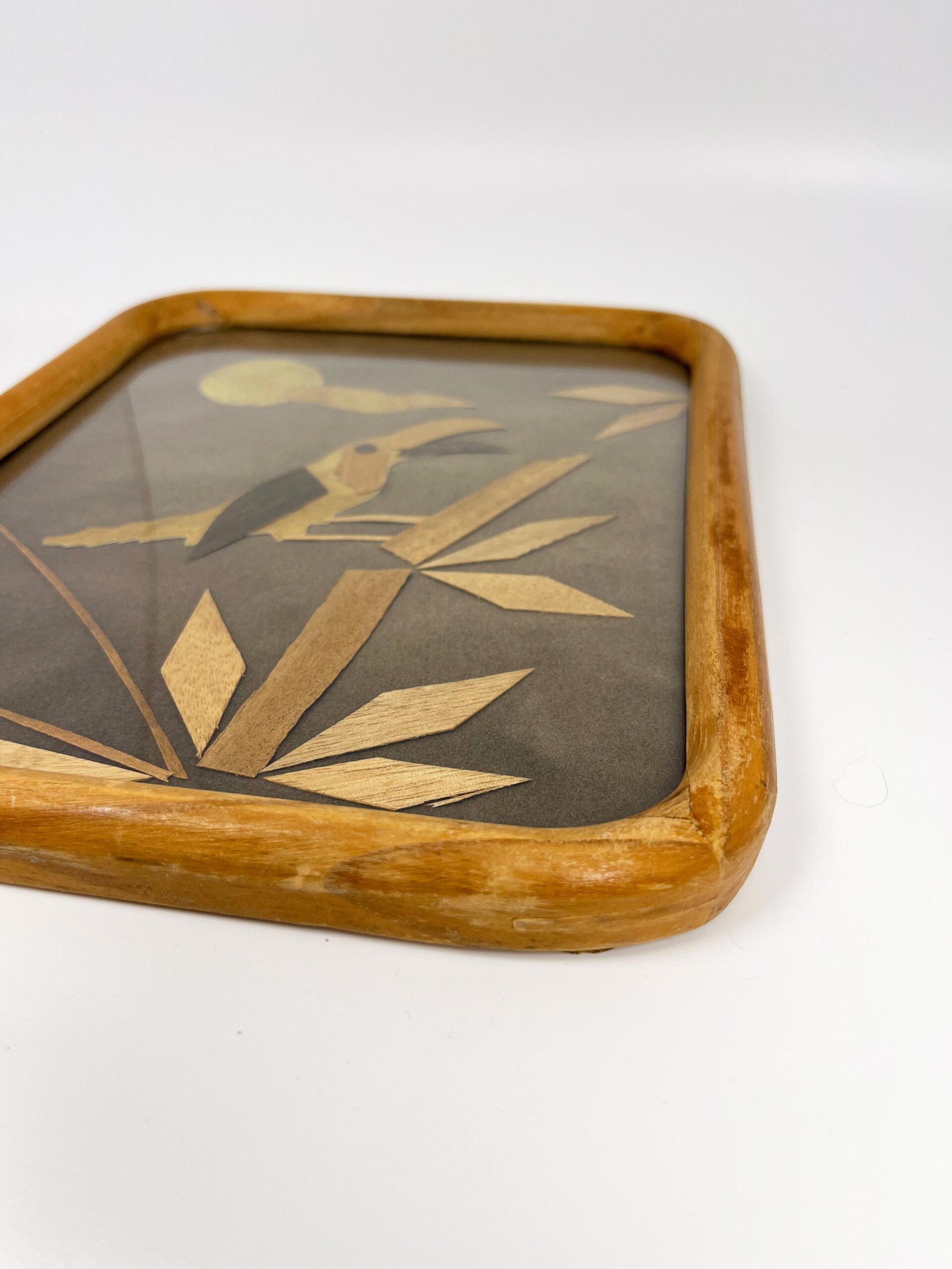 Vintage framed shaved wood art from Mexico - Handcrafted folk art with parrot