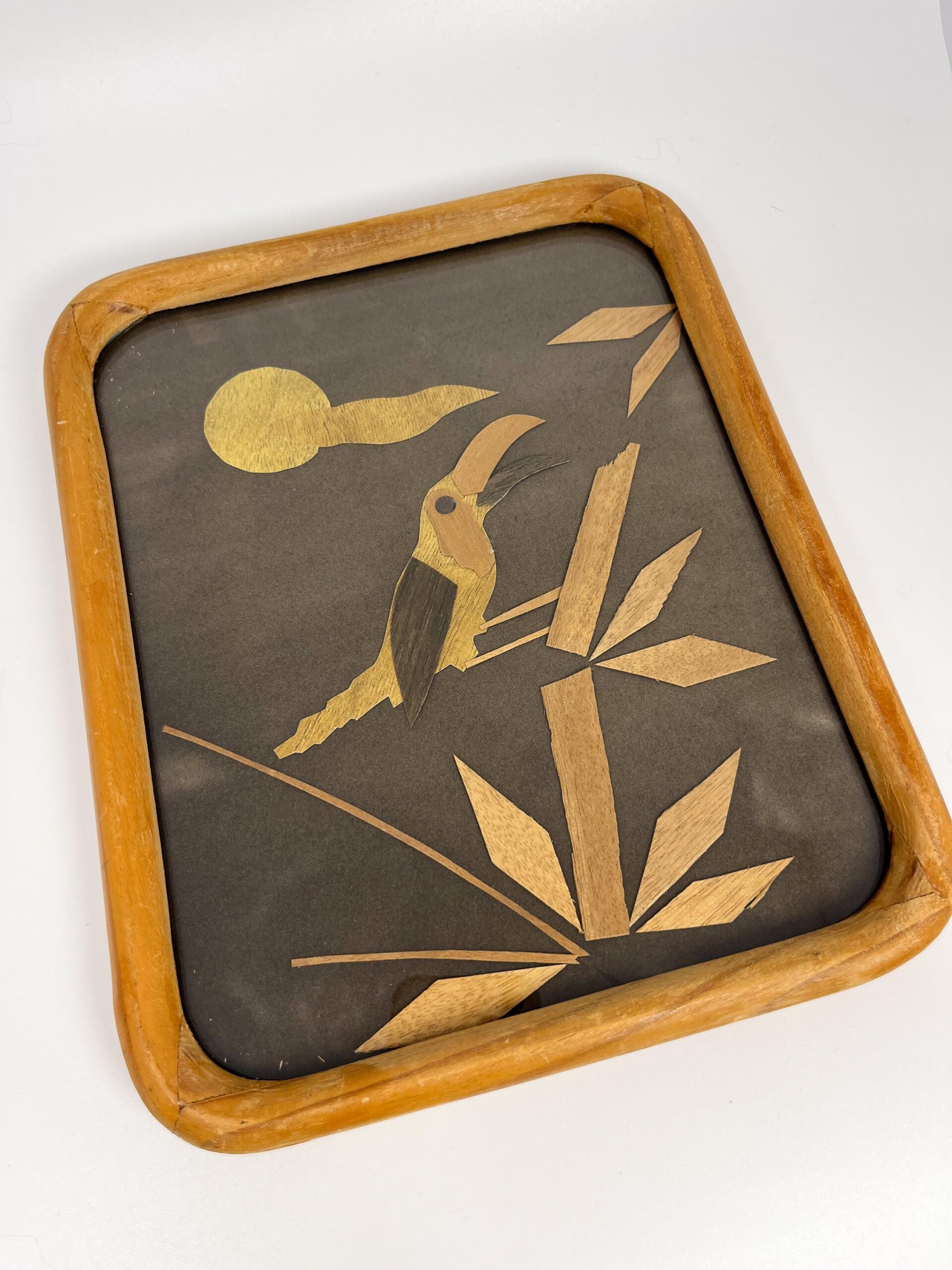 Vintage framed shaved wood art from Mexico - Handcrafted folk art with parrot