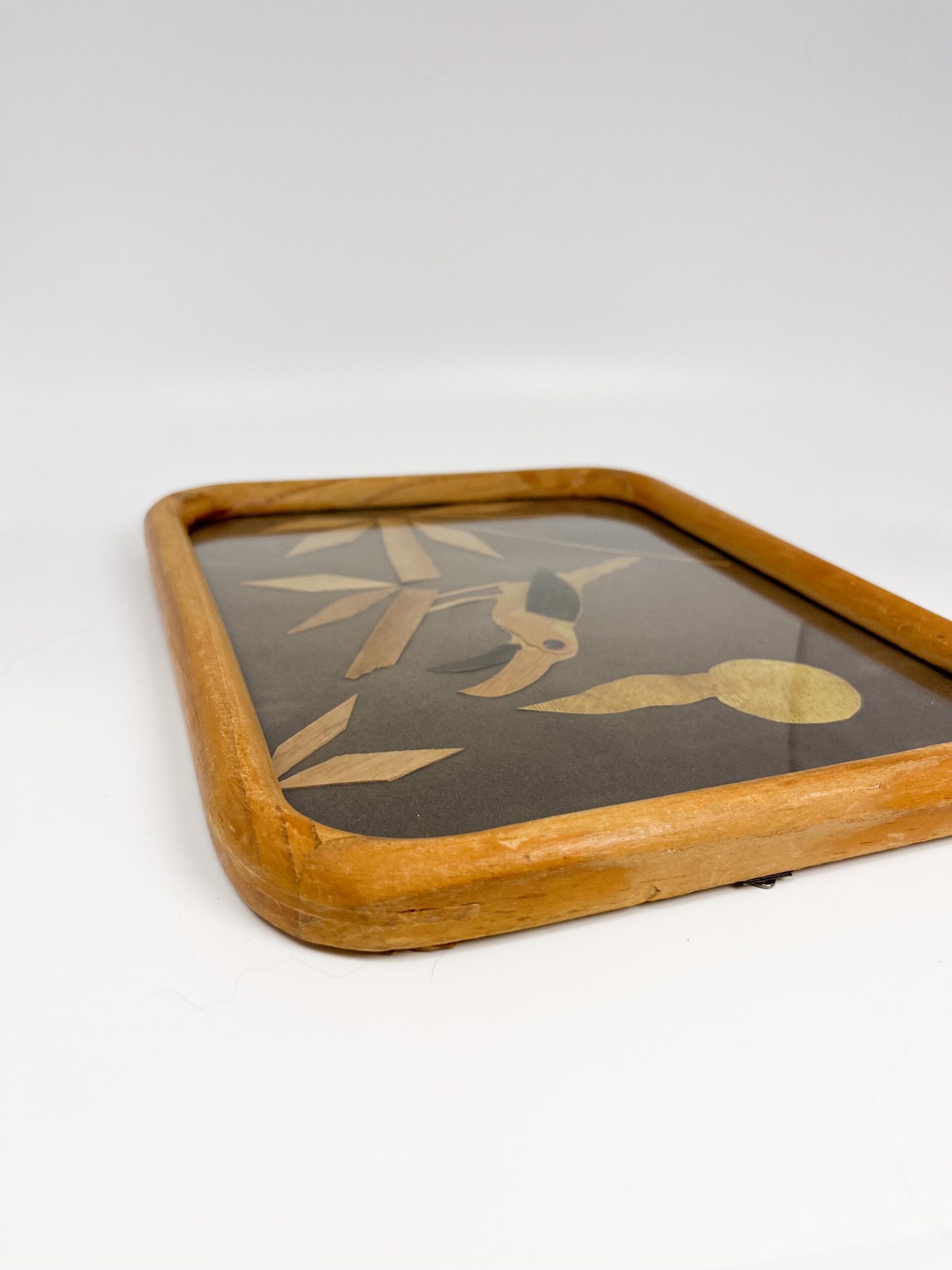 Vintage framed shaved wood art from Mexico - Handcrafted folk art with parrot