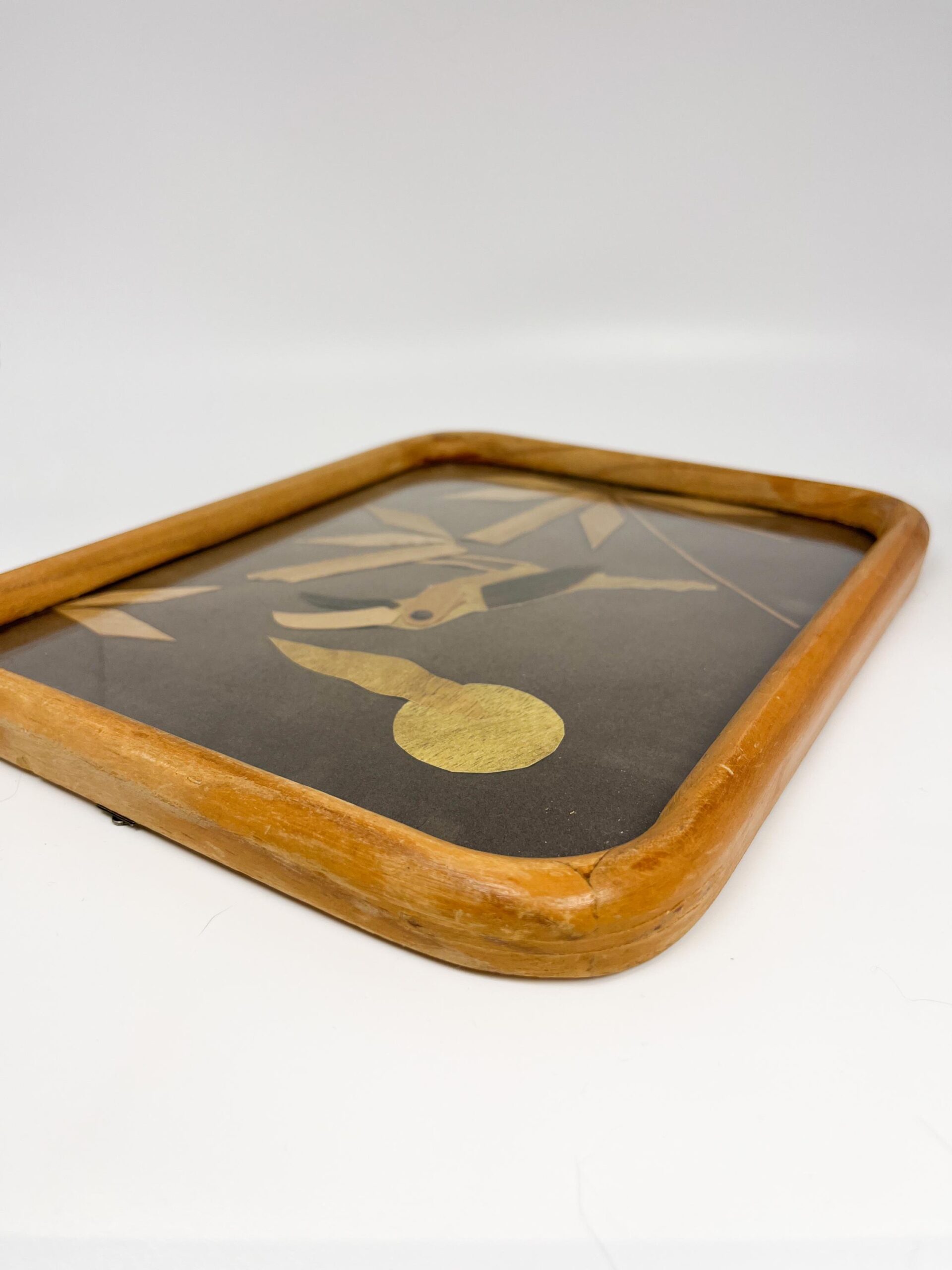 Vintage framed shaved wood art from Mexico - Handcrafted folk art with parrot